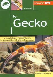 Le Gecko : la morphologie, l'alimentation, la reproduction, l'hygiène, les espèces - M. Millefanti