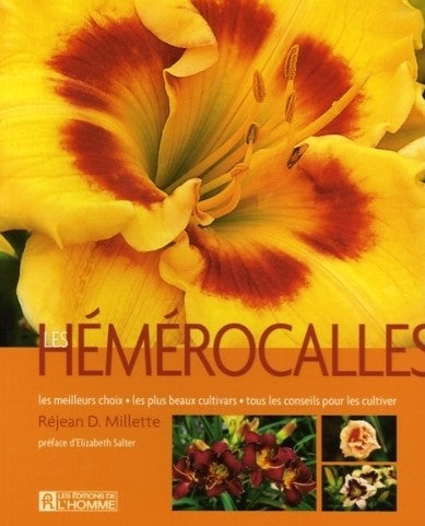 Livre ISBN 2761920406 Les hémérocalles (Réjean D. Millette)