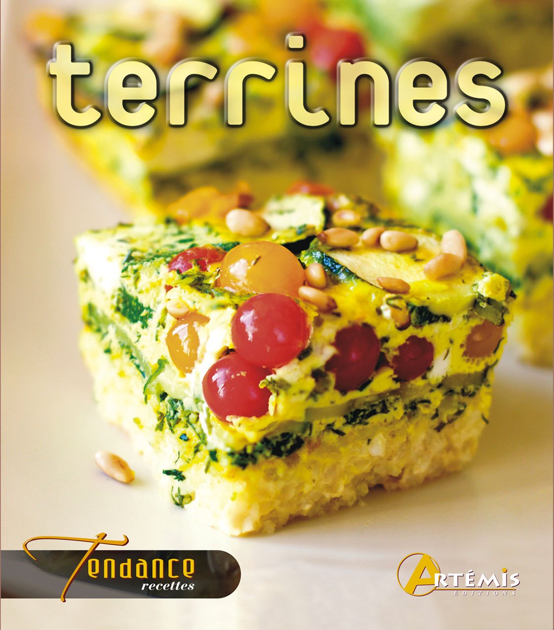 Livre ISBN 2844163866 Tendance recettes : Terrines