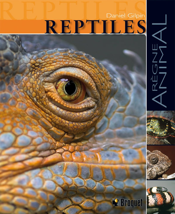 Livre ISBN 2890008479 Règne animal (Broquet) : Reptiles (Daniel Gilpin)