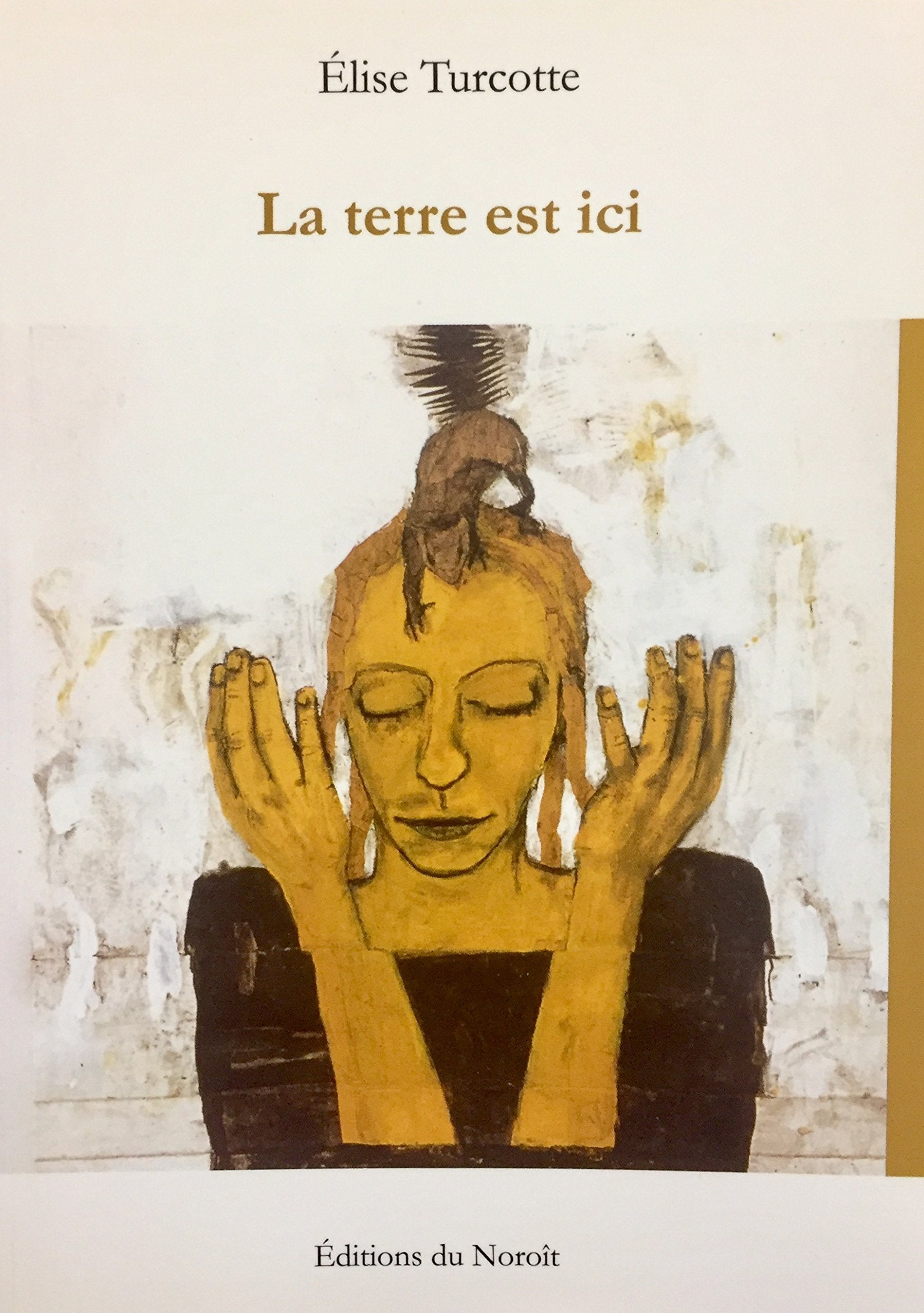 Livre ISBN 2890185230 La terre est ici (Élise Turcotte)