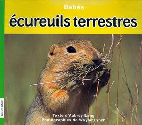 Livre ISBN 289021902X Bébés écureuils terrestres (Aubrey Lang)