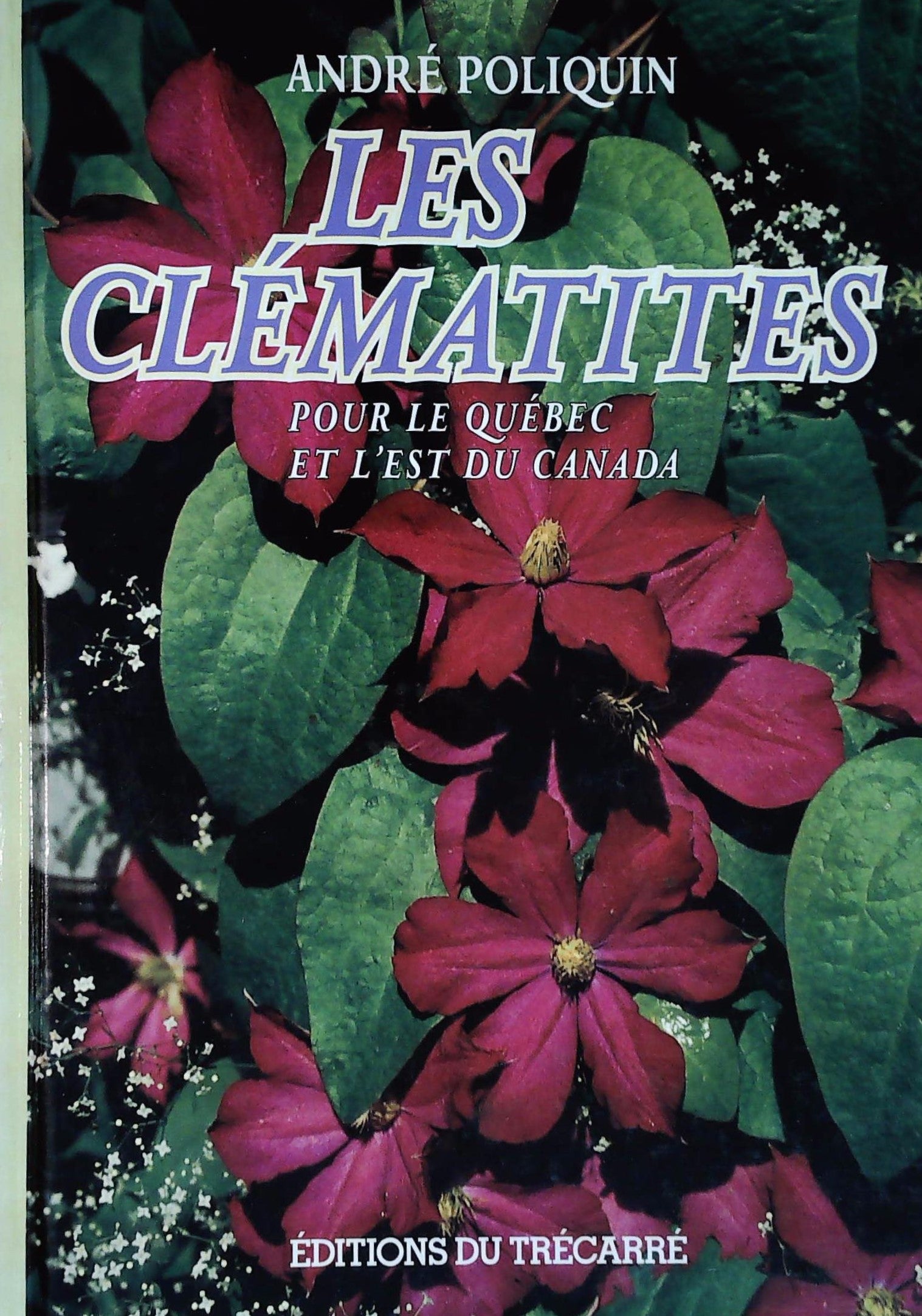 Livre ISBN 2892495288 Les Clématites (André Poliquin)