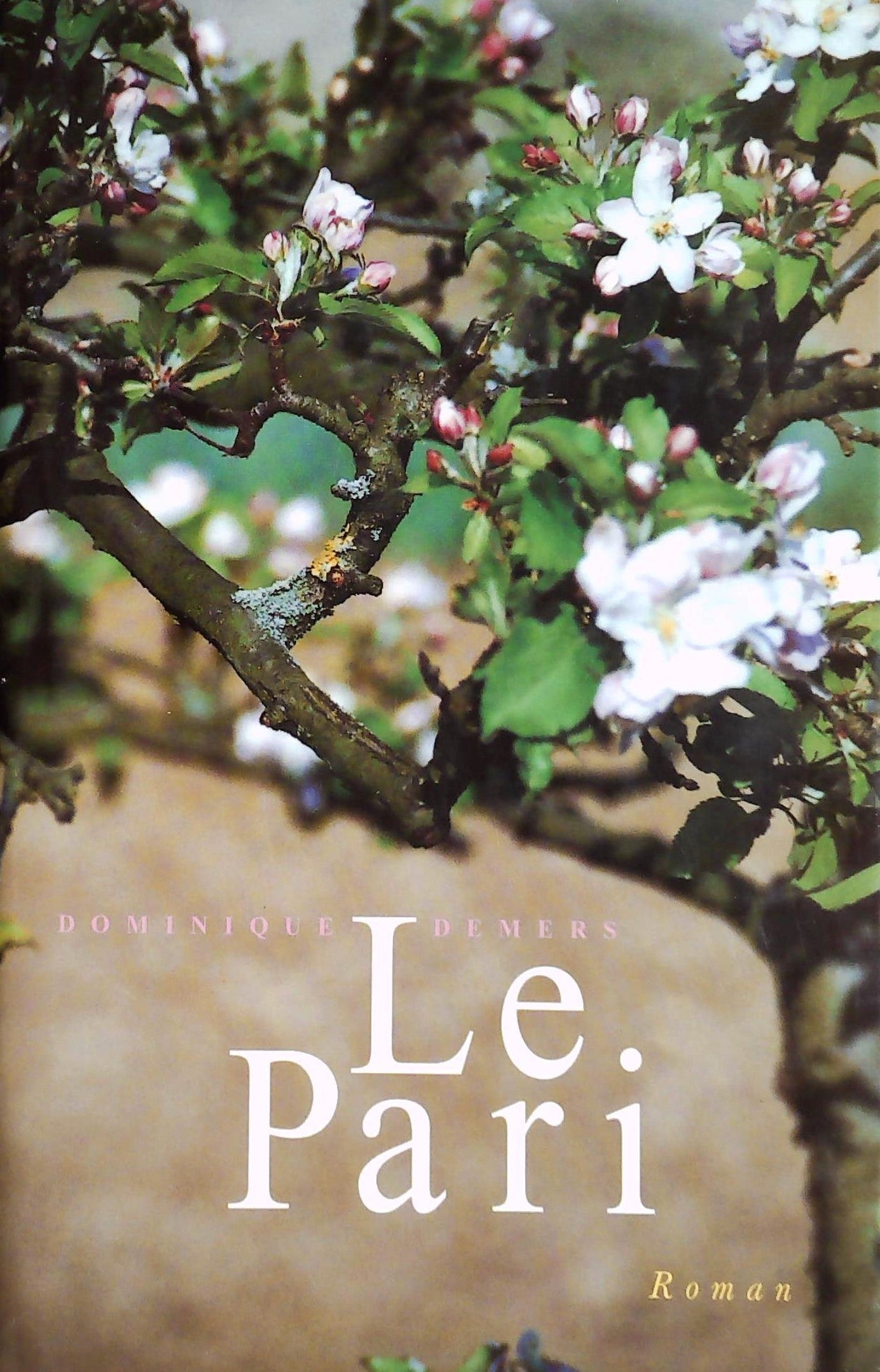 Livre ISBN 2894303920 Le pari (Dominique Demers)