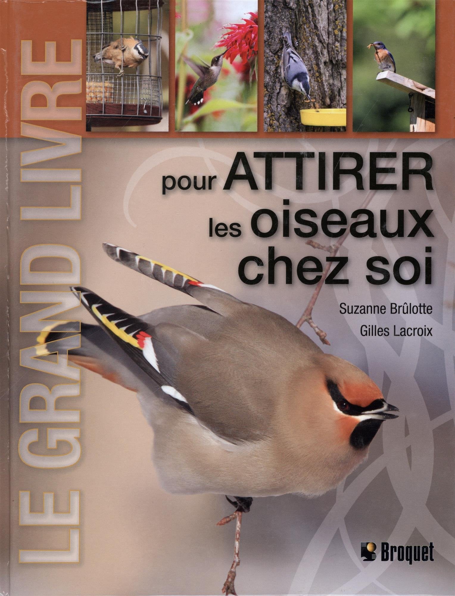 Le grand livre pour attirer les oiseaux chez soi - Suzanne Brûlotte