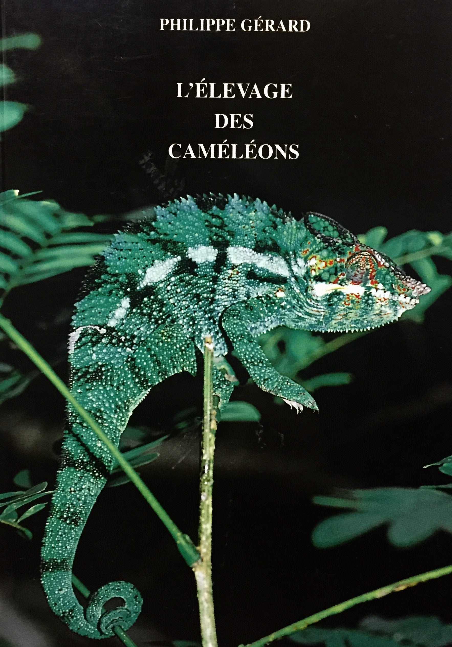 Livre ISBN 2912521114 L'élevage des cameleons (Philippe Gérard)