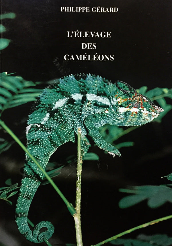 Livre ISBN 2912521114 L'élevage des cameleons (Philippe Gérard)