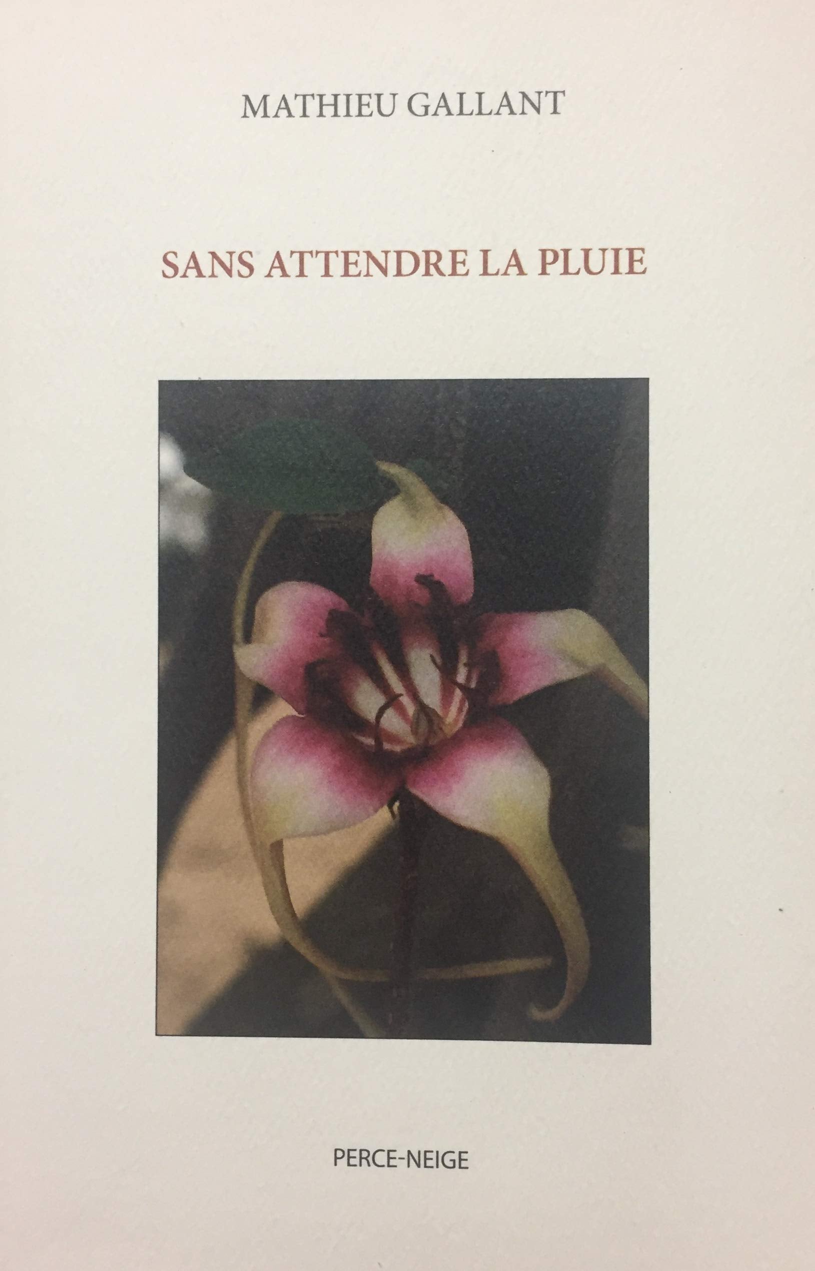 Livre ISBN 2922992365 Sans attendre la pluie (Mathieu Gallant)