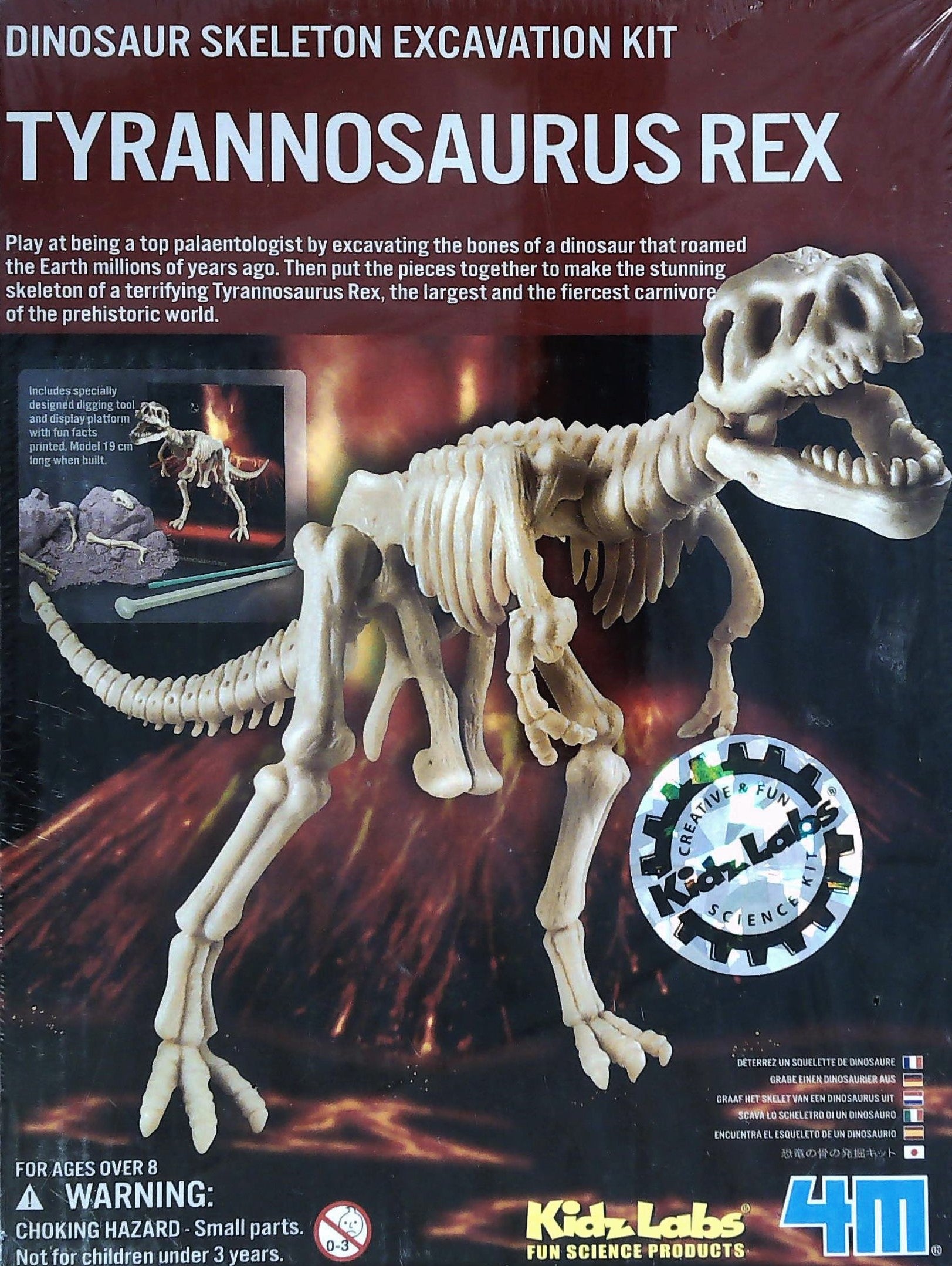 JEUX 4893156032218Dinosaur Skeleton Excavation Kit