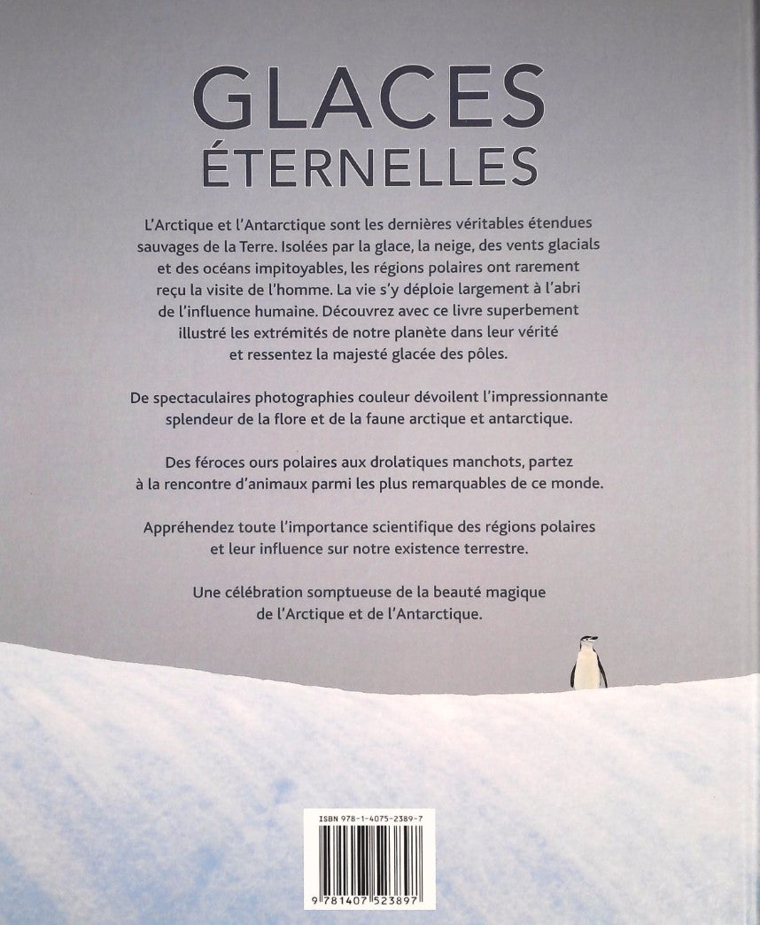 Glaces éternelles : À la découverte de l'imensité des régions polaires