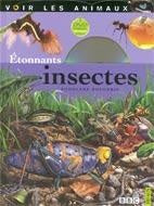 Voir les animaux : Étonnants insectes (avec DVD) - Rodolphe Rougerie