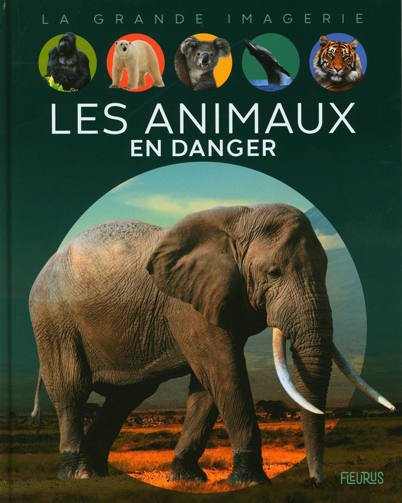 La grande imagerie : Les animaux en danger - Sabine Boccador