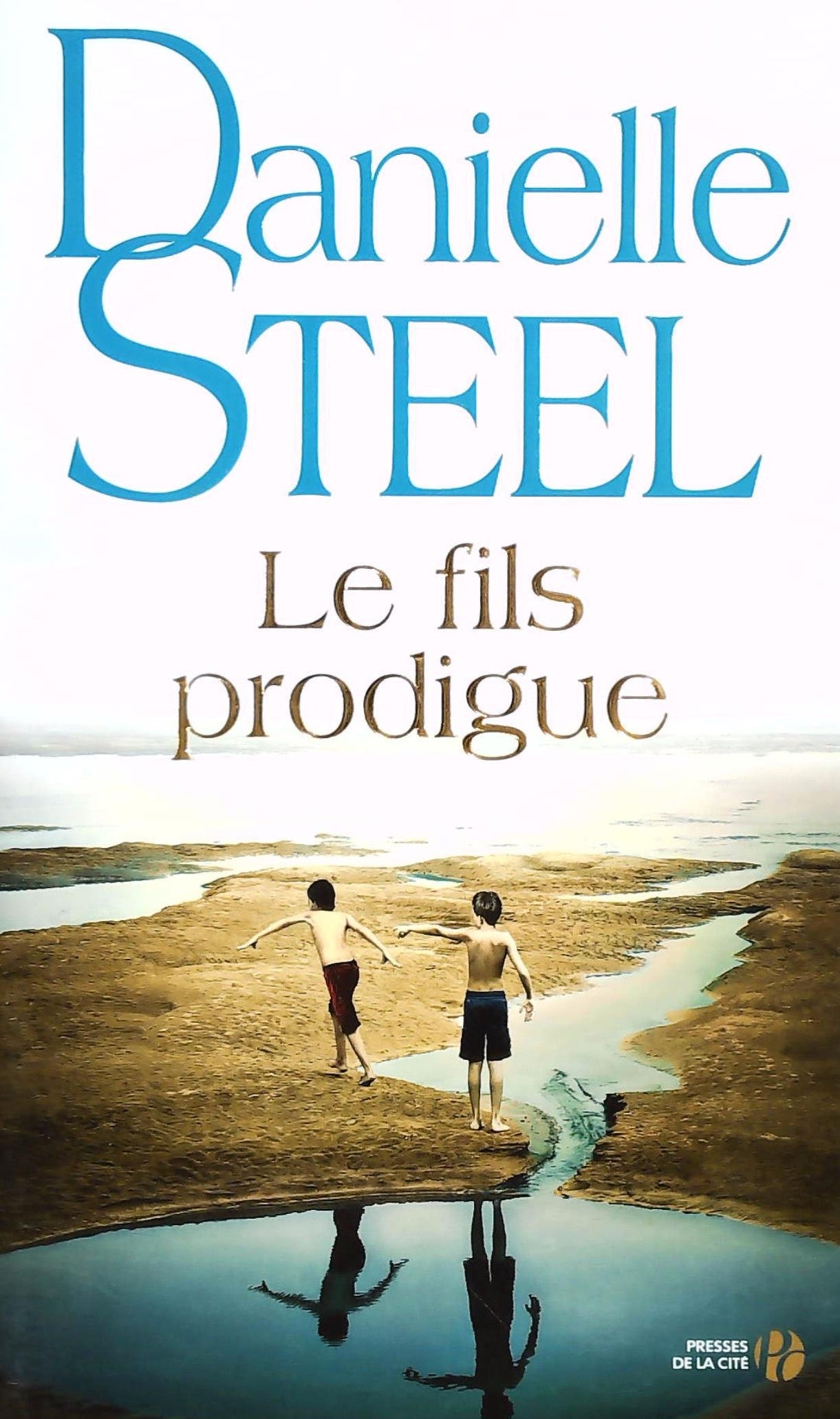 Livre ISBN 2258108098 Le fils prodigue (Danielle Steel)