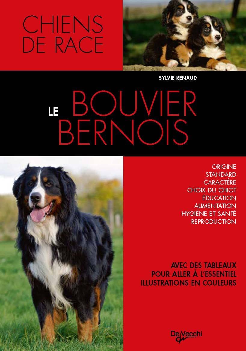 Livre ISBN 2732893366 Race de chiens : Le bouvier bernois (Sylvie Renaud)