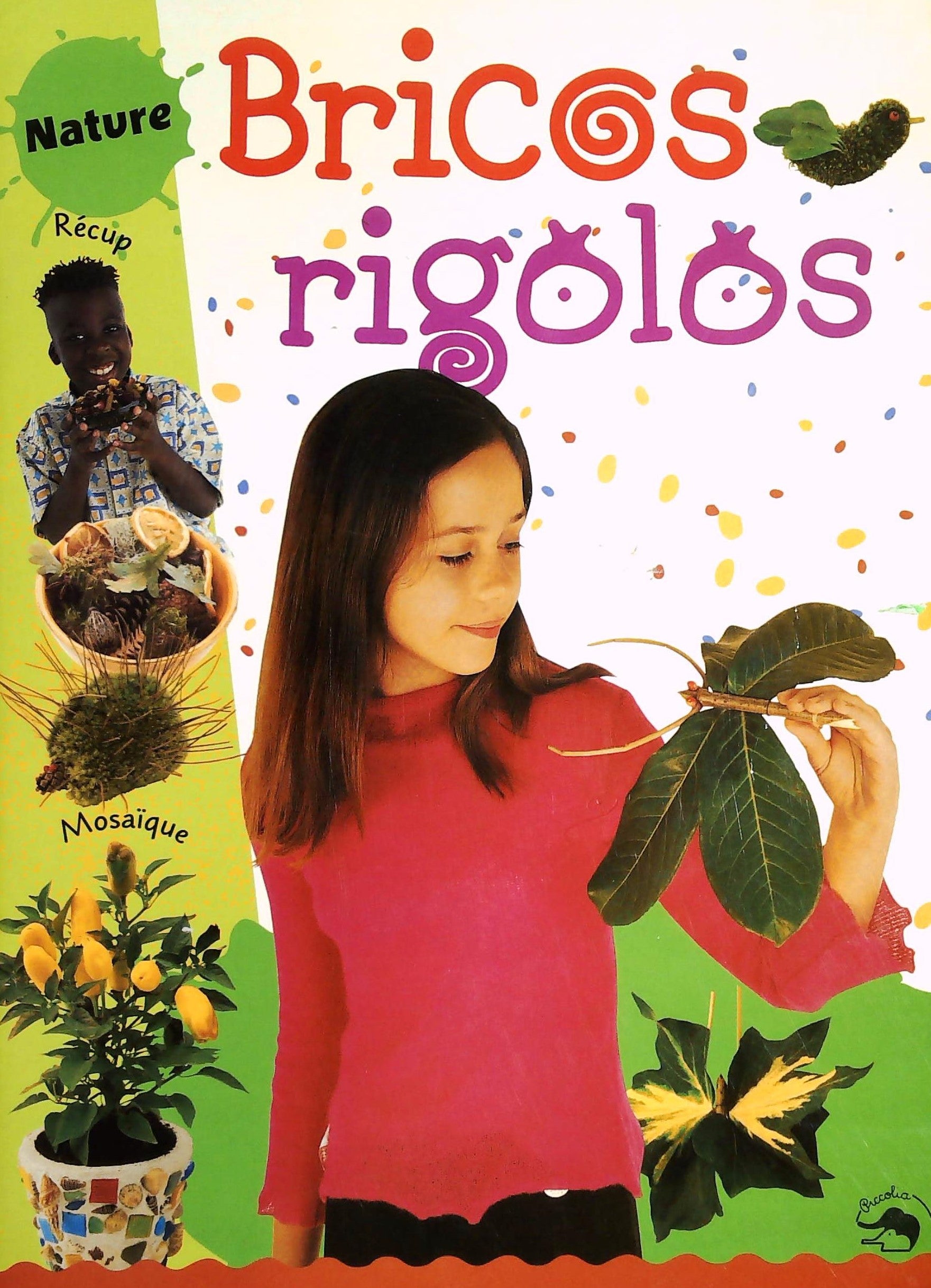 Livre ISBN 2845402597 Bricos rigolos
