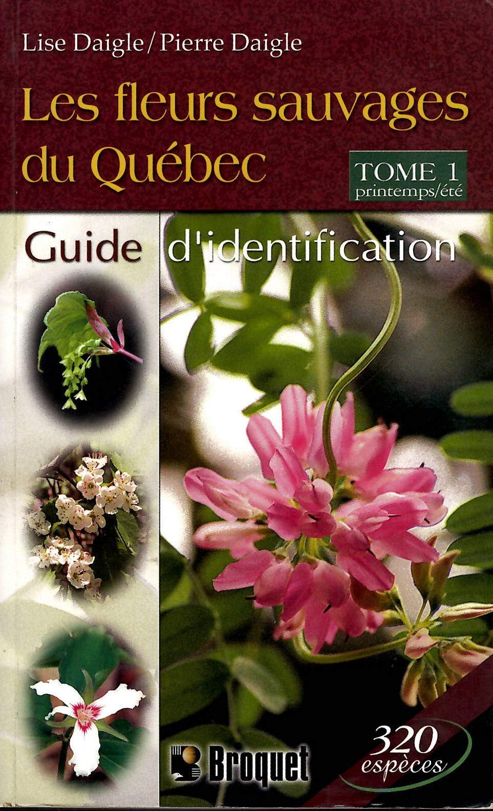Les fleurs sauvages du Québec T.1  : Guide d'identification - Lise Daigle