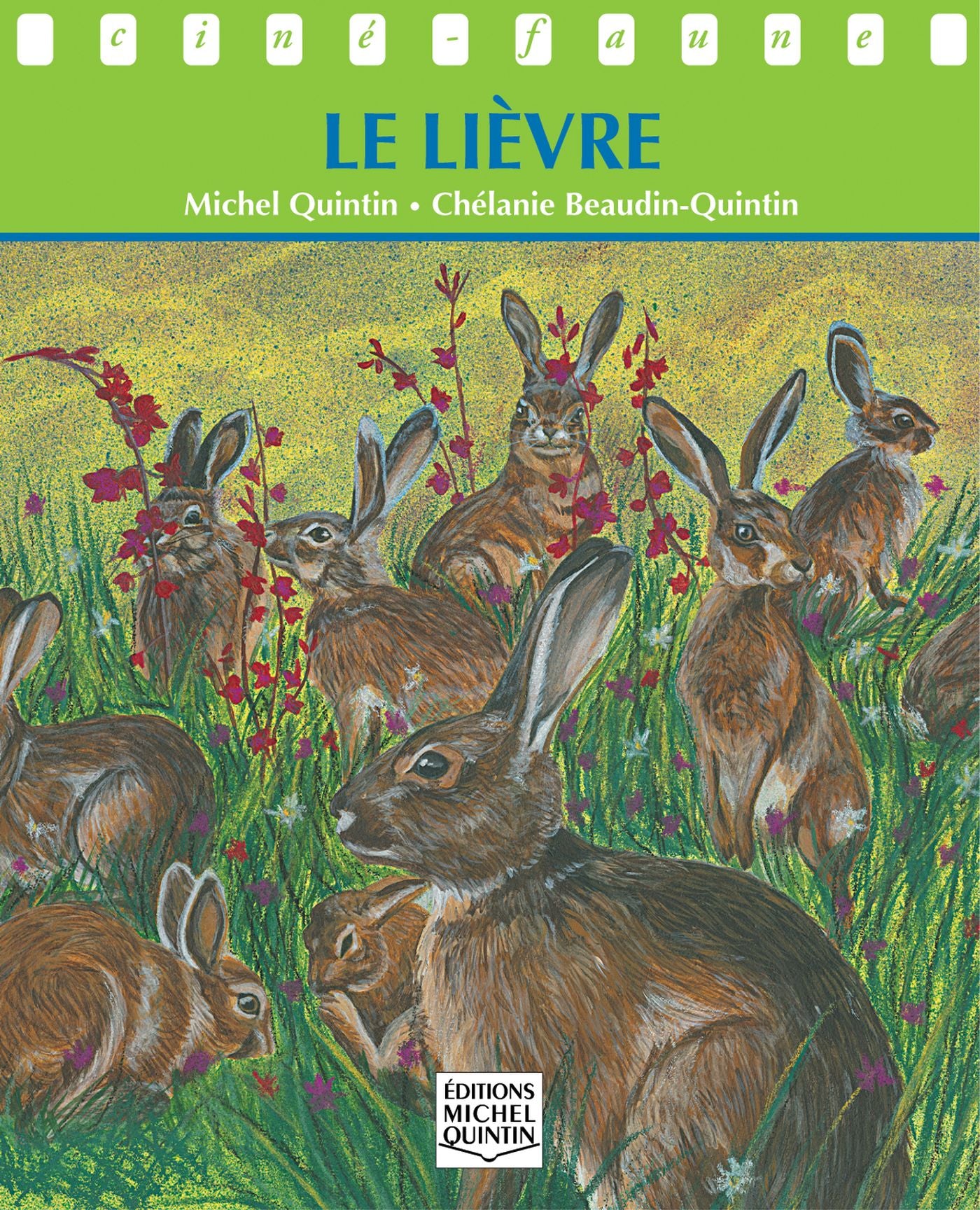 Ciné-faune : Le lièvre - Michel Quintin