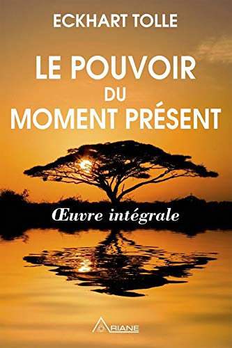 Guide d'éveil spirituel : Le pouvoir du moment présent - Eckhart Tolle