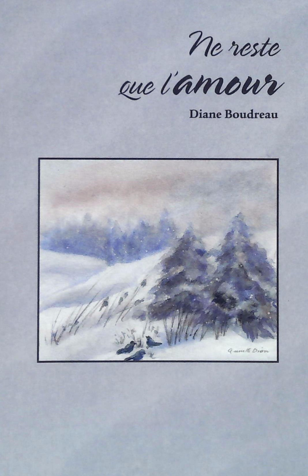 Livre ISBN 2920689061 Ne reste que l'amour (Diane Boudreau)