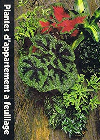 Livre ISBN 2734404702 L'encyclopédie Time-Life du jardinage : Plantes d'appartement à feuillage